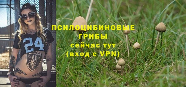крисы Армянск