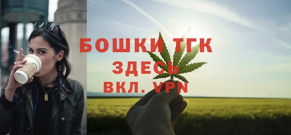 крисы Армянск